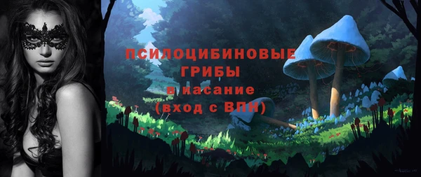мдпв Пролетарск